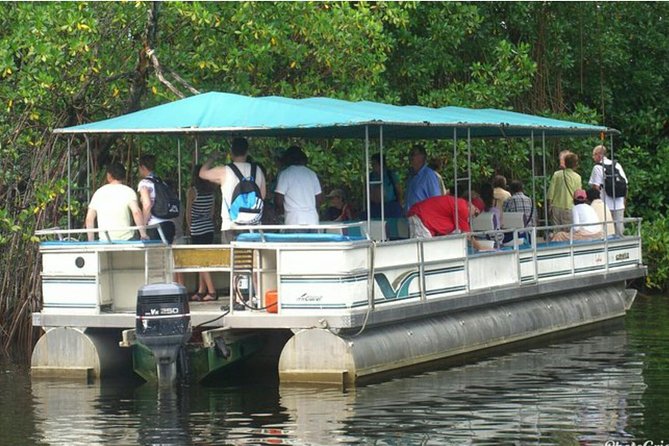 Black River Safari Tour From Montego Bay - About Your Stay