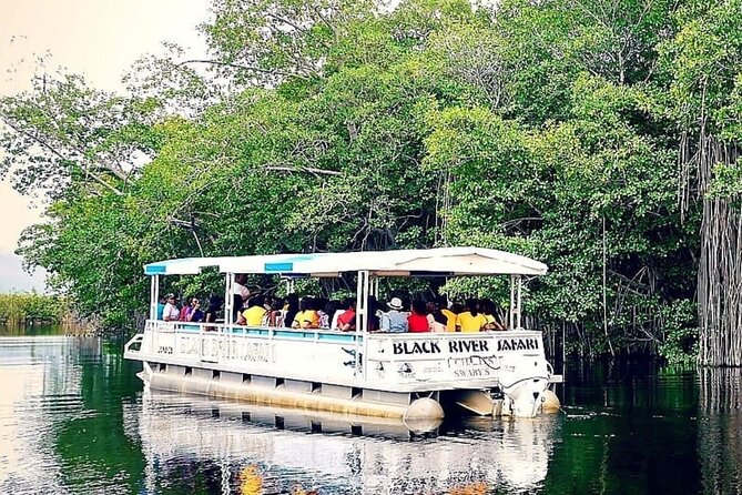 Black River Safari Tour From Montego Bay - Highlights of the Safari Tour
