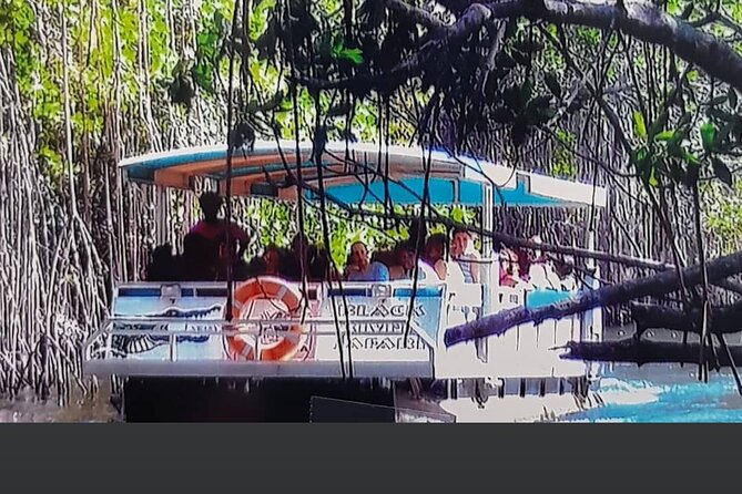 Black River Safari Tour From Montego Bay - Questions About Your Stay
