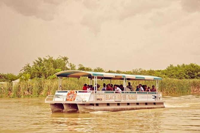 Black River Safari Tour From Montego Bay - Spotting Wildlife on the Safari