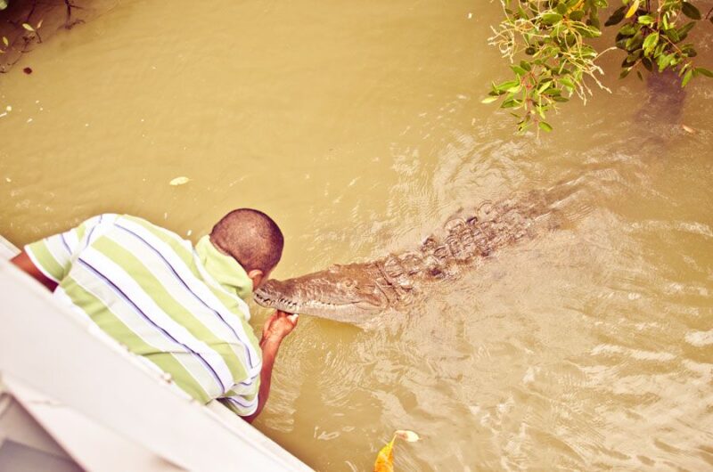 Black River Safari Tour From Montego Bay - Pickup and Drop-off Locations
