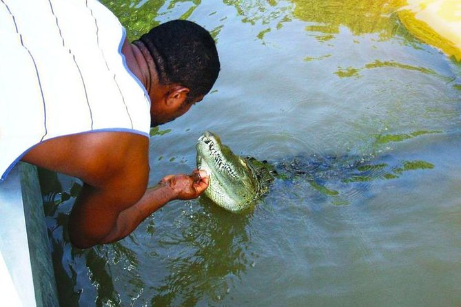 Black River Safari With Transport From Montego Bay - About Your Stay