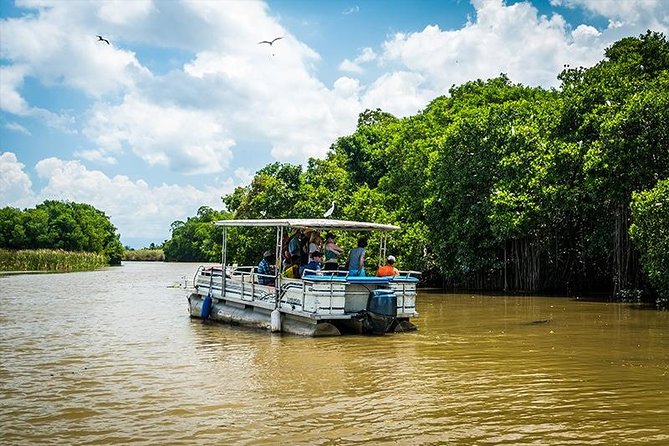 Black River Safari With Transport From Montego Bay - Inclusions and Pricing