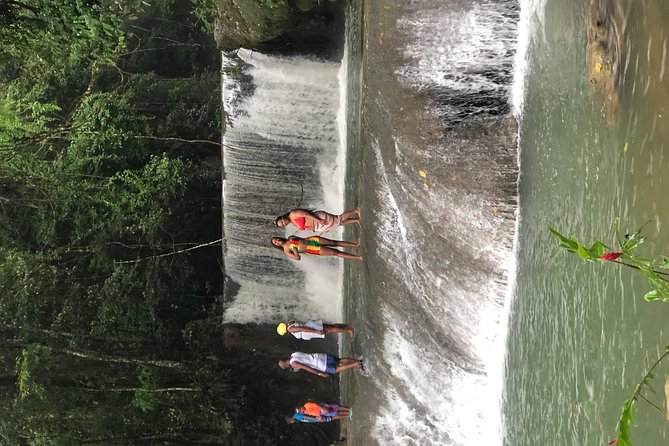 Black River Safari, YS Falls and Appleton Estate - Exploring YS Falls