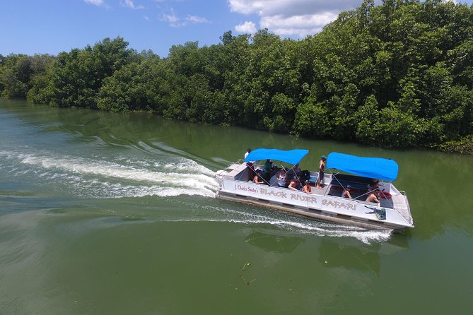 Black River Safari, YS Falls and Appleton Estate - Inclusions and Pricing