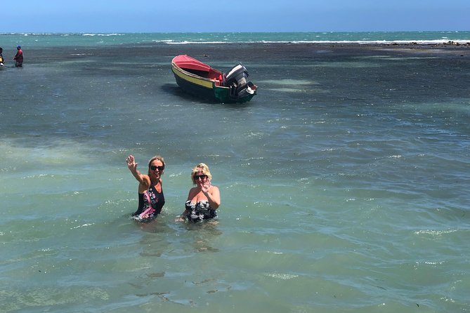 Black River Safari, YS Falls and Floyds Pelican Bar - Transportation Arrangements