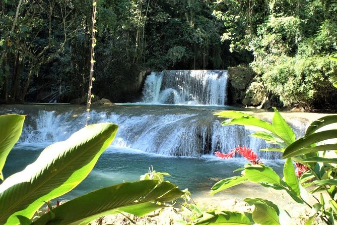 Black River Safari & YS Falls Guided Tour With Lunch & Admission From Negril - Traveler Reviews and Feedback