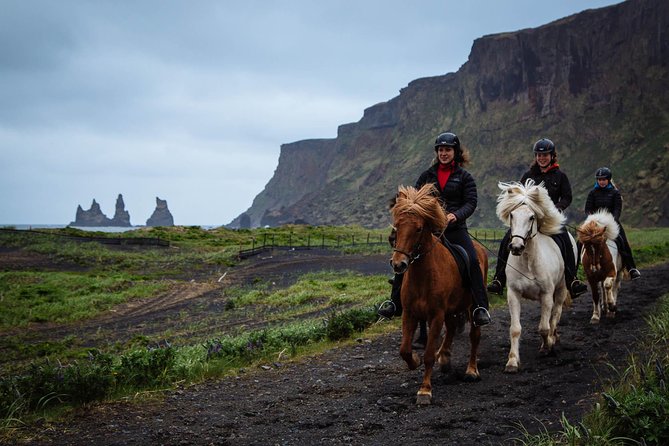 Black Sand Beach Horse Riding Tour From Vik - Whats Included in the Experience