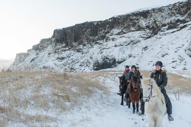 Black Sand Beach Horse Riding Tour From Vik - Transportation and Public Access