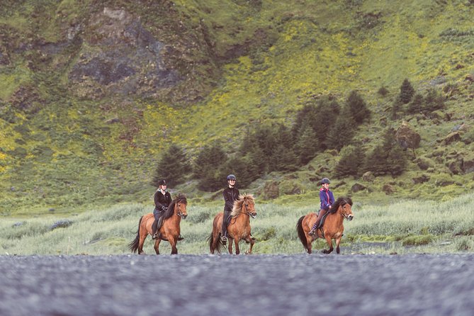 Black Sand Beach Horse Riding Tour From Vik - Physical Fitness Requirements
