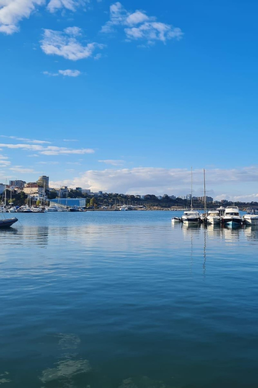 Black Sea and ConstanțA City Guided Tour - Small Group Max 8 - Itinerary Highlights
