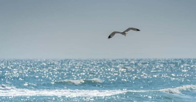 Black Sea Private Tour, Day Tour From Bucharest - Historical Context