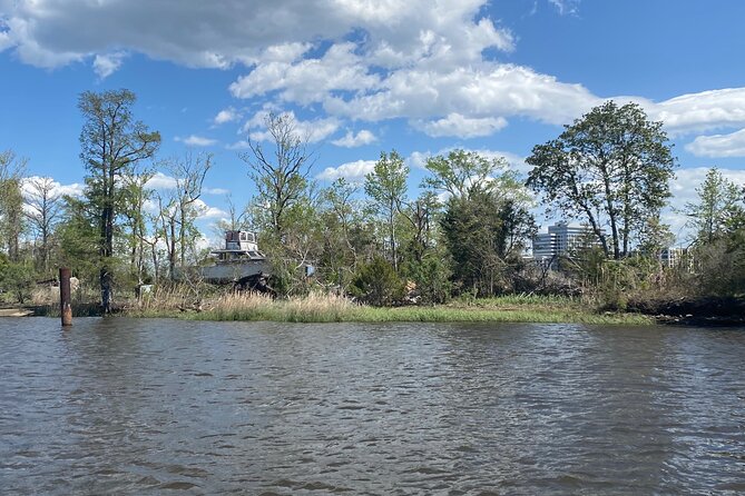 Black Water Adventure Cruise - Sights and Commentary