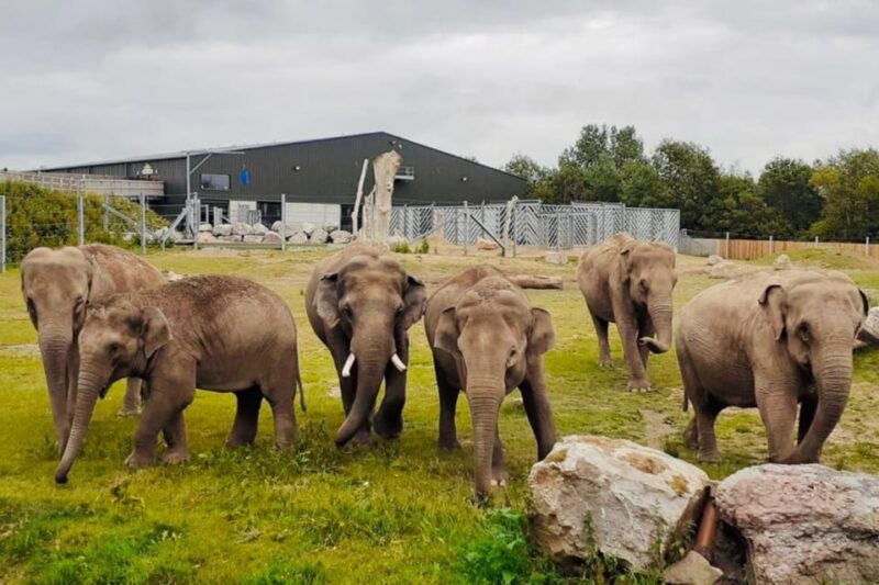 Blackpool: Zoo Admission Ticket - Zoo Experience Highlights