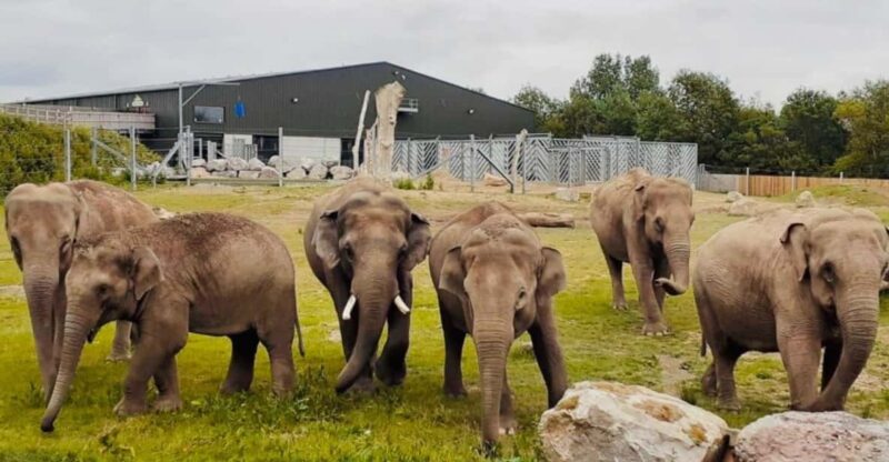 Blackpool: Zoo Admission Ticket - Visitor Information