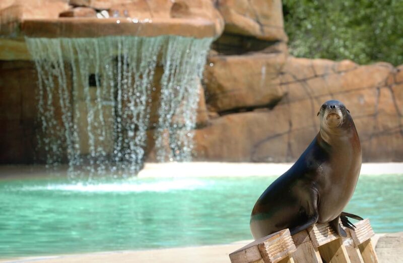 Blackpool: Zoo Admission Ticket - Customer Reviews