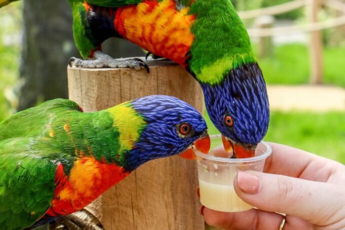 Blackpool: Zoo Admission Ticket - Animal Habitats and Exhibits