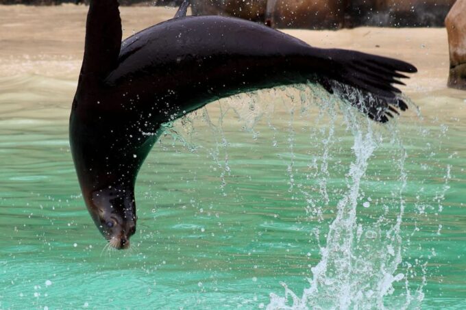Blackpool: Zoo Admission Ticket - Daily Activities and Talks