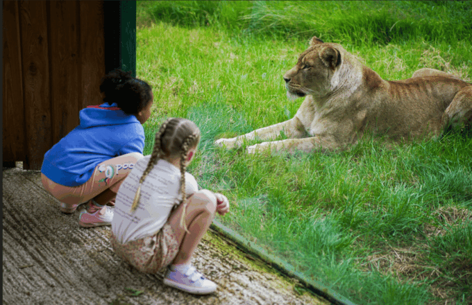 Blackpool: Zoo Admission Ticket - New Arrivals and Variety