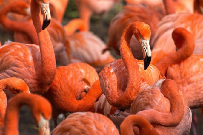 Blackpool: Zoo Admission Ticket - Frequently Asked Questions