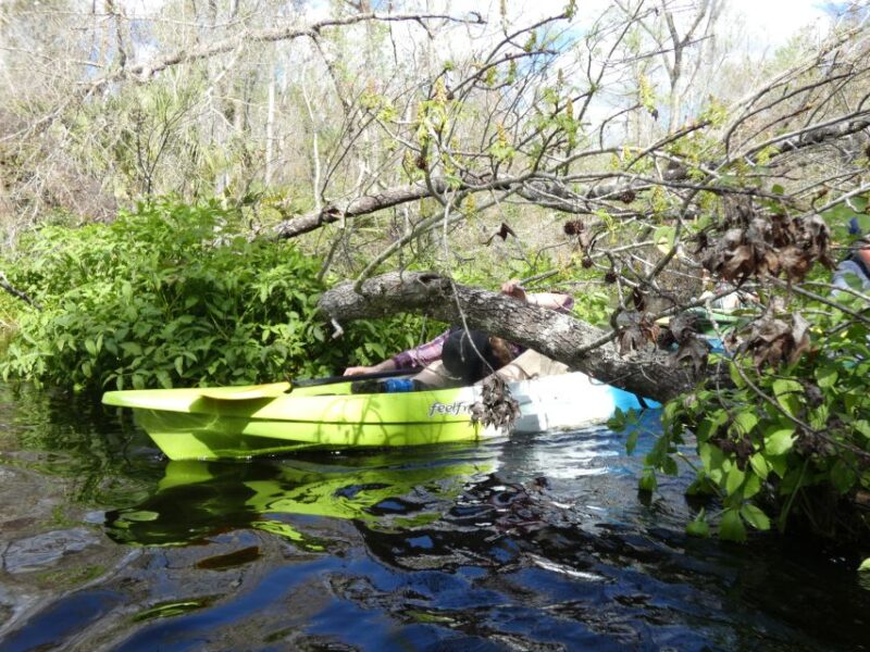 Blackwater Creek: Exclusive Nature Escape Kayak Adventure - Key Points