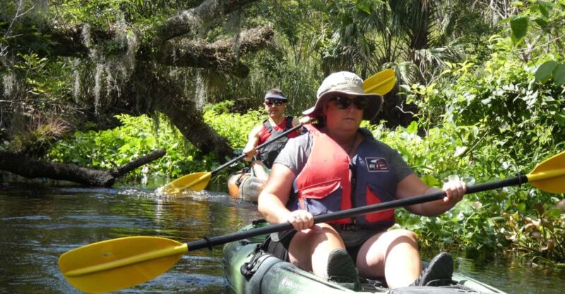 Blackwater Creek: Exclusive Nature Escape Kayak Adventure - Wildlife Encounters