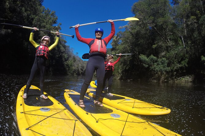 Blackwater Tubing Green Route Forest Adventure - Tour Details