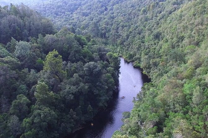 Blackwater Tubing Green Route Forest Adventure - Booking and Cancellation