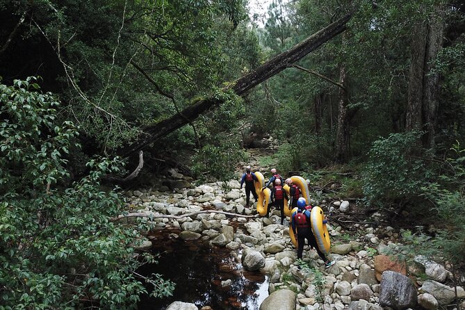 Blackwater Tubing Green Route Forest Adventure - Explore the Tsitsikamma Forests