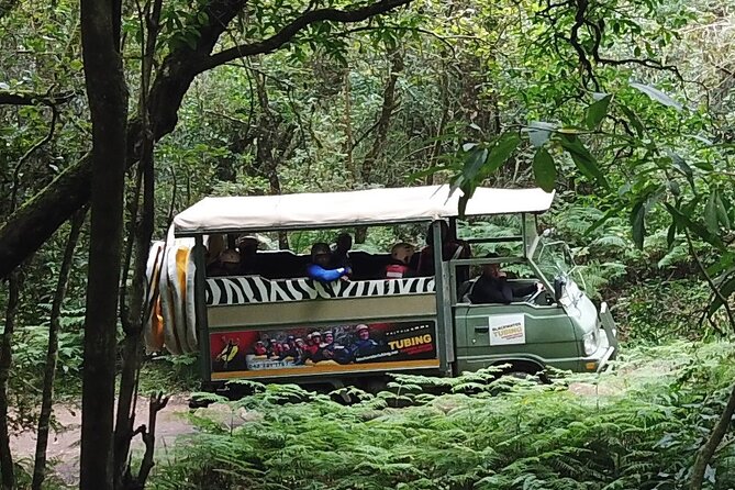 Blackwater Tubing Green Route Forest Adventure - Activity Highlights