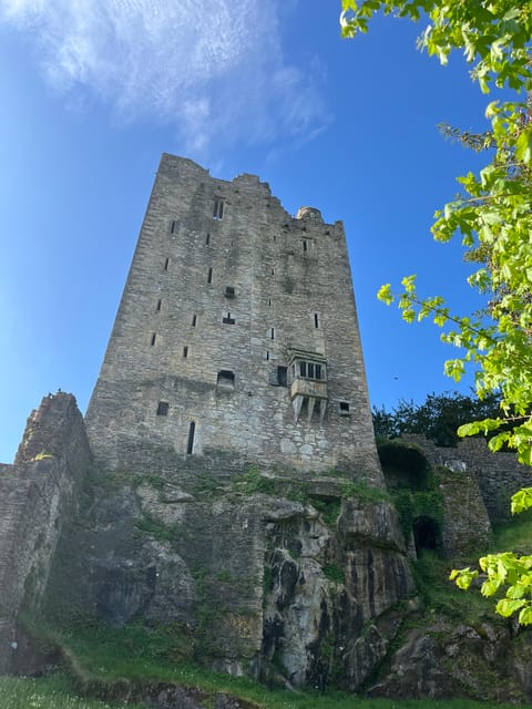 Blarney Castle and Cork City:Private Taxi Tour . - Key Points