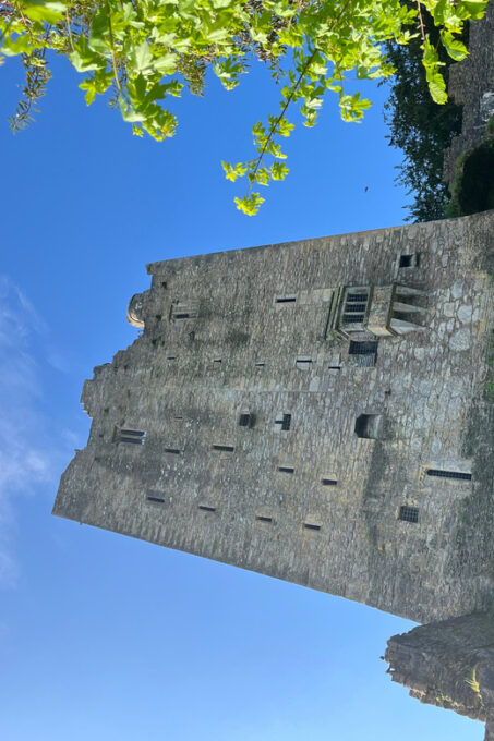 Blarney Castle and Cork City:Private Taxi Tour . - About the Tour Guide