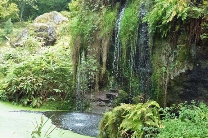 Blarney Castle Cork City and Jameson Distillery Semi Private Tour - Accessibility and Requirements