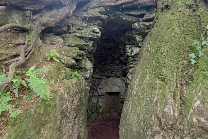 Blarney Castle Cork City and Jameson Distillery Semi Private Tour - Location and Duration