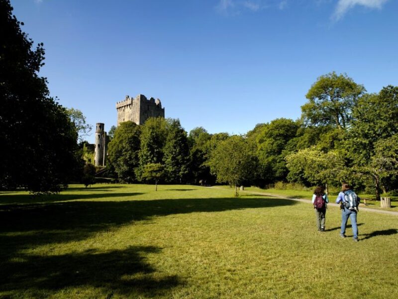 Blarney Castle Full-Day Tour From Dublin - Transportation and Meeting Point