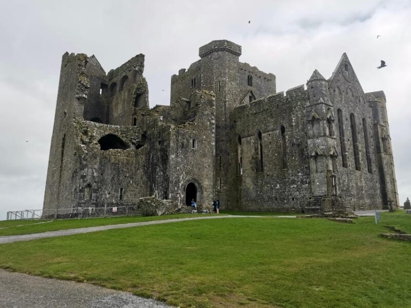 Blarney Castle: Private Guided Day Tour From Dublin - Transportation and Amenities