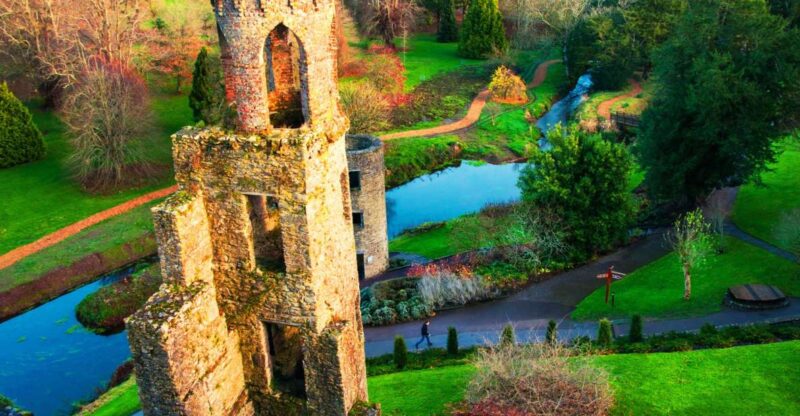 Blarney Castle & Rock of Cashel Private Car Trip From Dublin - Key Points