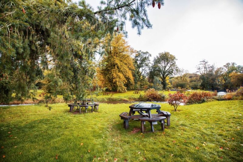 Blarney Castle & Rock of Cashel Private Car Trip From Dublin - Itinerary Highlights