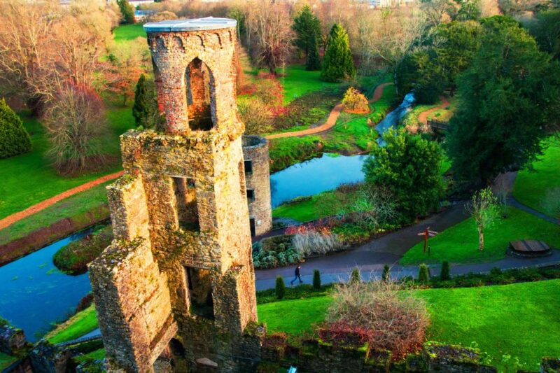 Blarney Castle & Rock of Cashel Private Car Trip From Dublin - Tour Features