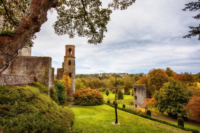 Blarney Castle & Rock of Cashel Private Car Trip From Dublin - Lunch Options