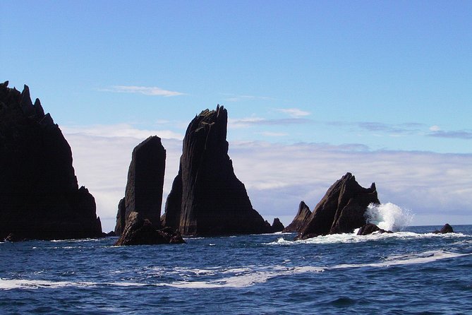 Blasket Island Eco Tour. - Tour Inclusions and Details