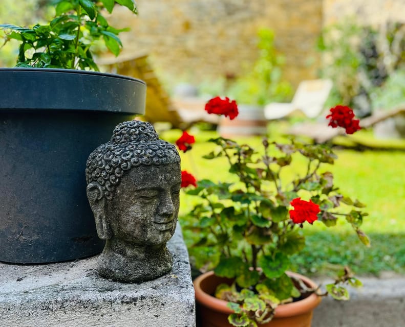 Blaye: Wine Tasting and Meditation Winefulness - Sensory Awakening