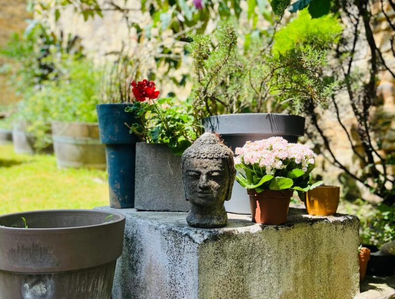 Blaye: Wine Tasting and Meditation Winefulness - Languages and Accessibility