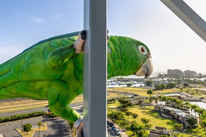 Blazing Bull Zip Line Activity at Toroverde Urban Park San Juan - Participant Experience