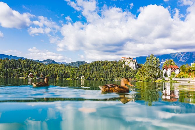 Bled & Bohinj Lakes With Skofja Loka | Private Trip From Ljubljana - Bled Castle and Lake Bled