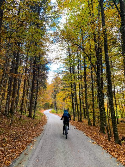 Bled: EBike Tour Lake Bled & Triglav National Park Private - Participant Requirements