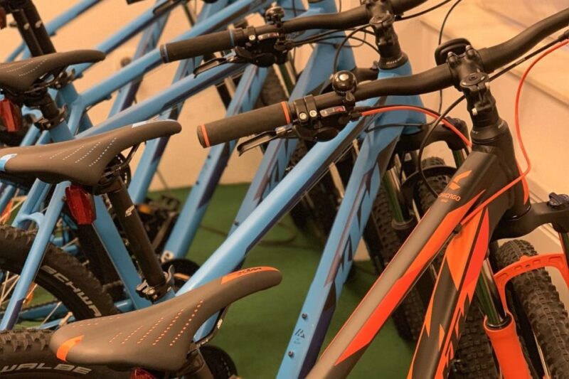 Bled: Mountain Bike Rental - Key Points