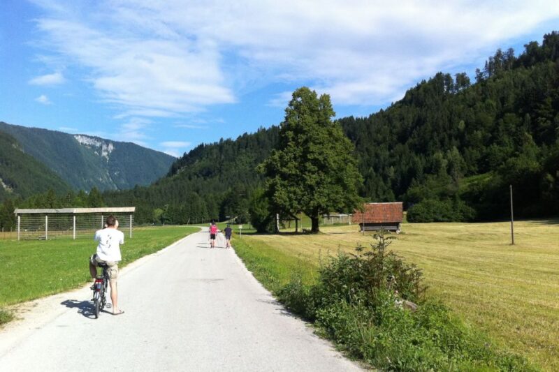 Bled: Mountain Bike Rental - Bike Rental Equipment