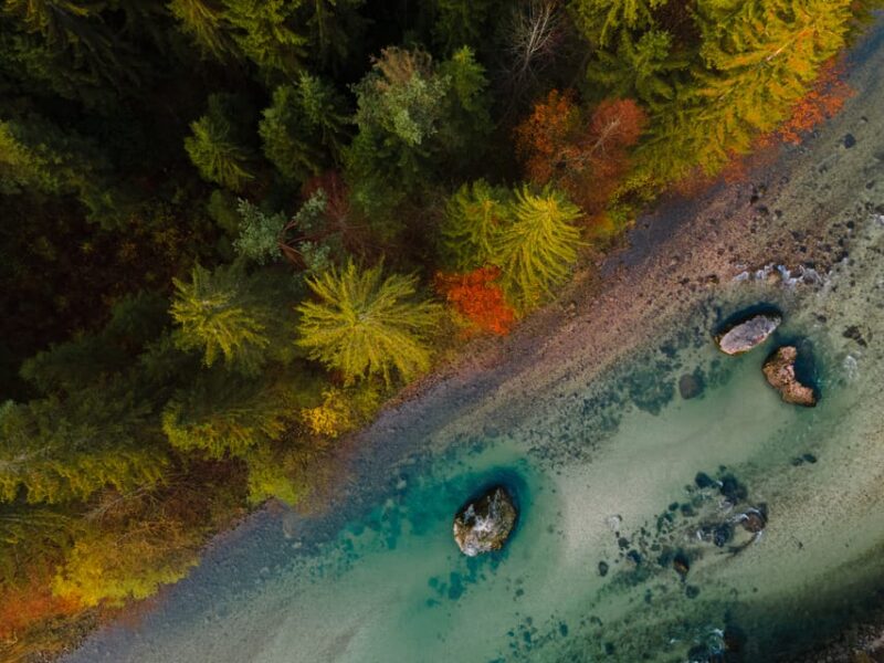 Bled: Sava River Kayaking Tour - Highlights and Features
