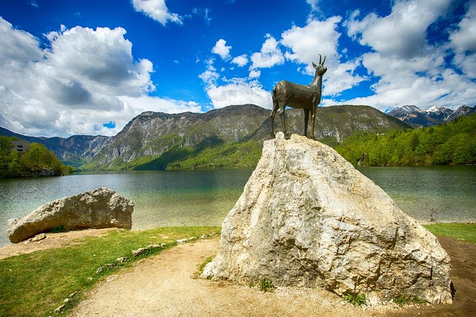 Bled to Lake Bohinj Trip - Highlights of the Trip